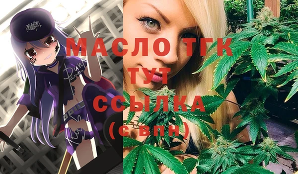 молекула духа Аша