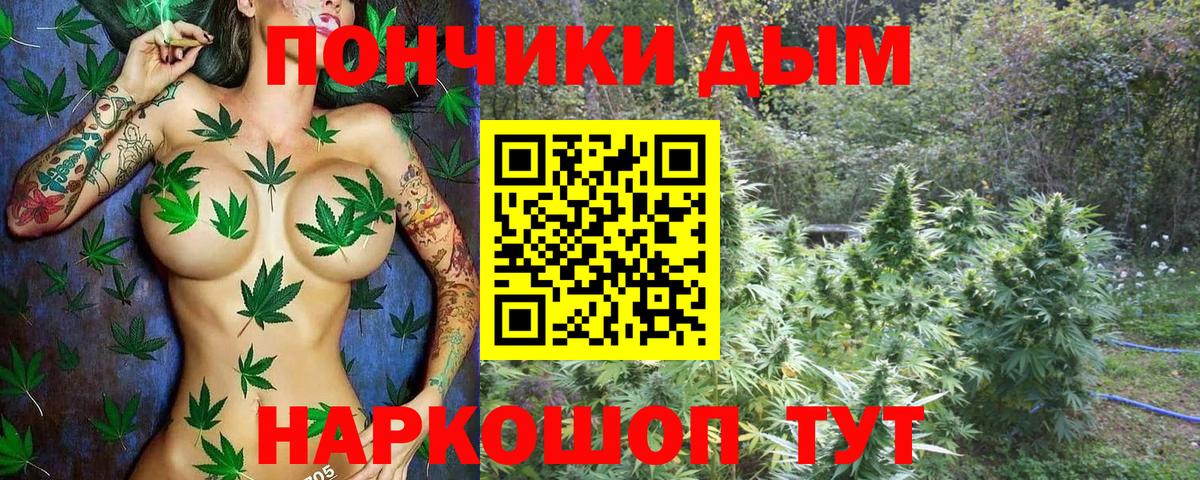 Конопля AK-47 Морозовск